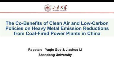 The Co-Benefits of Clean Air and Low-Carbon Policies on Mercury Emission Reductions from Coal-Fired Power Plants in China
